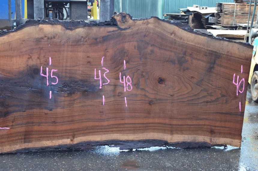 031219-11 Oregon Black Walnut Slab