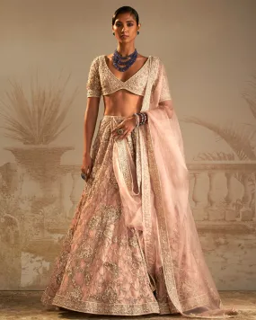 Doli Lehenga Set