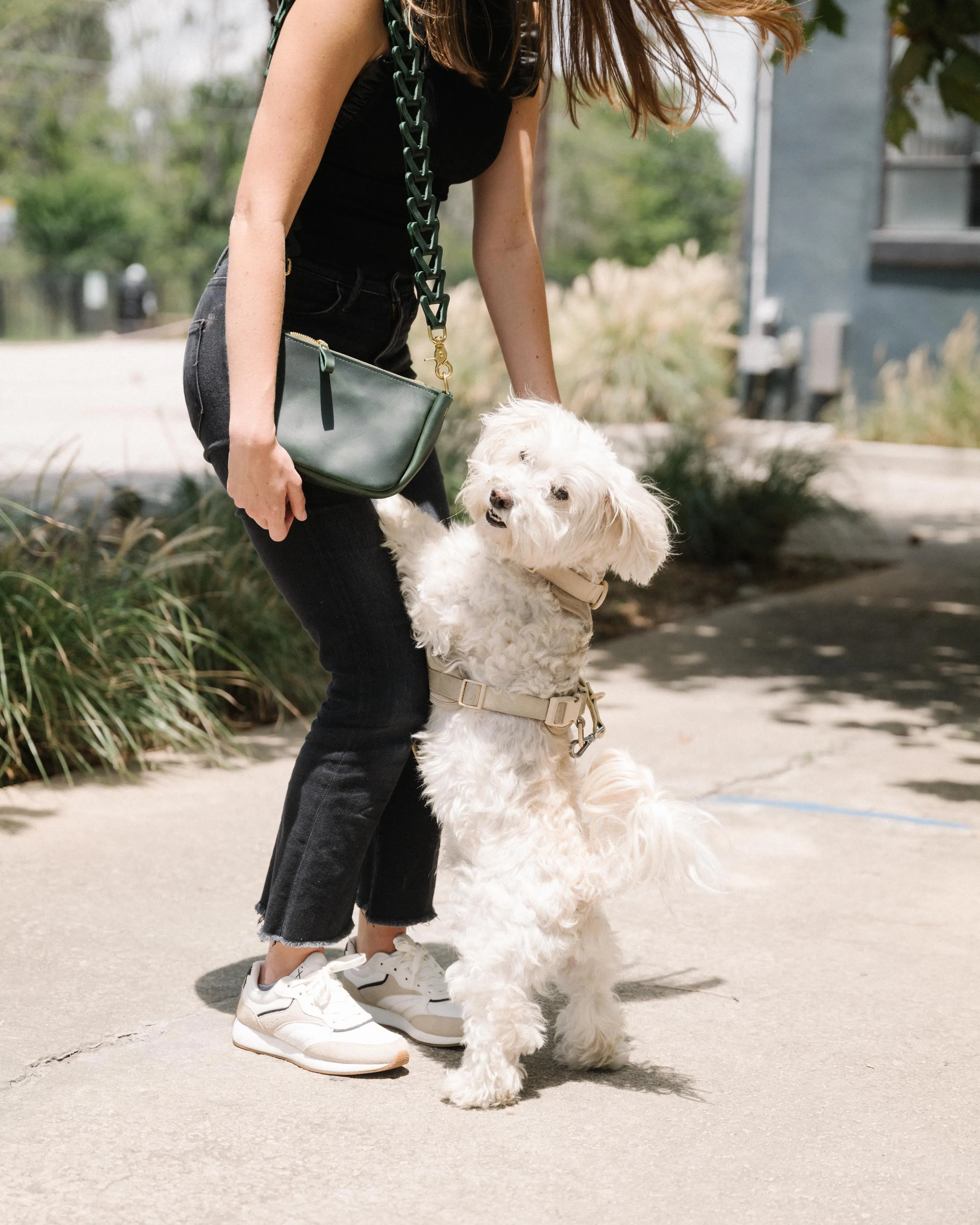 Green Cheaha Mini Crossbody Bag