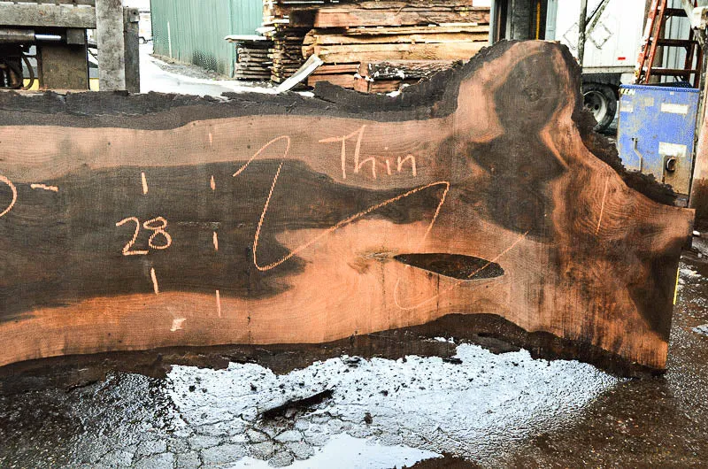 Oregon Black Walnut Slab 022118-06