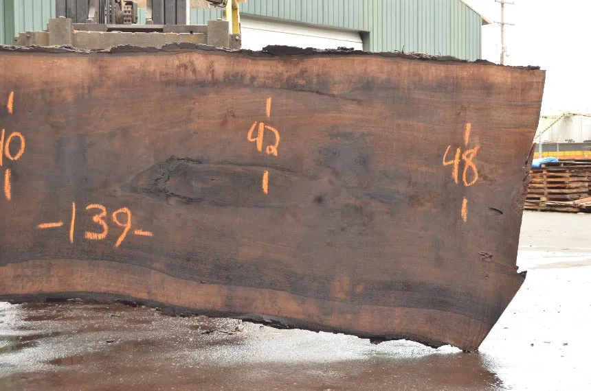 Oregon Black Walnut Slab 052022-03